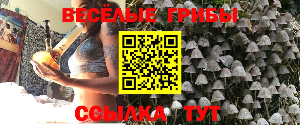 Сорочинск  Галлюциногенные грибы Magic Shrooms  Вход с VPN 